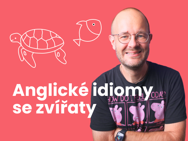 Anglické idiomy se zvířaty